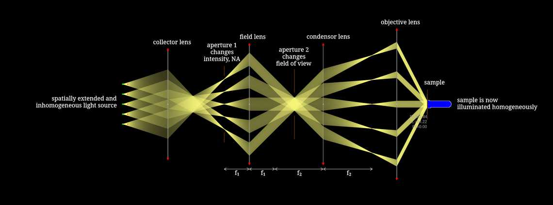 Köhler Illumination