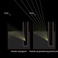 "Czarny kot staje się biały" demo