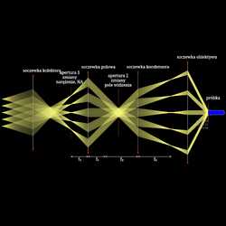 Oświetlenie Koehlera