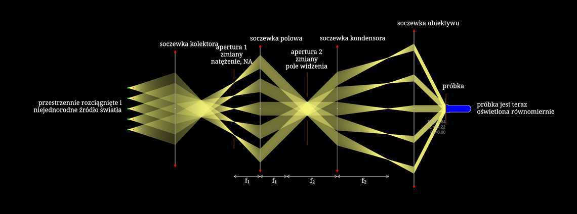 Oświetlenie Koehlera