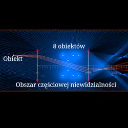 Rochesterski płaszcz