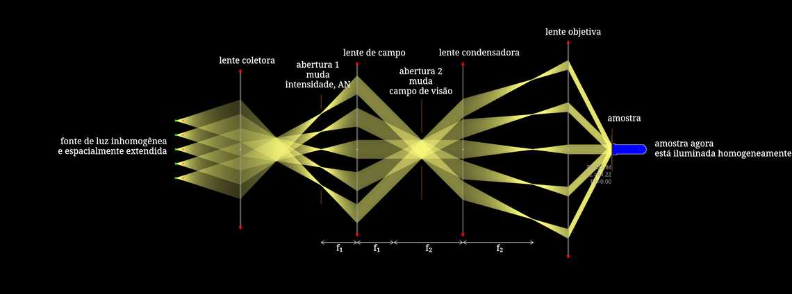 Iluminação de Köhler