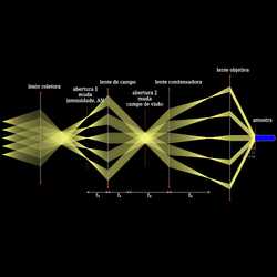 Iluminação de Köhler