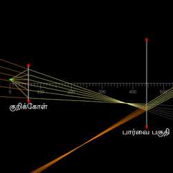 கூட்டு நுண்ணோக்கி